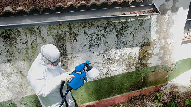 Trusted Bathroom Mold Removal service in Budd Lake, NJ - Cheap Mold Removal